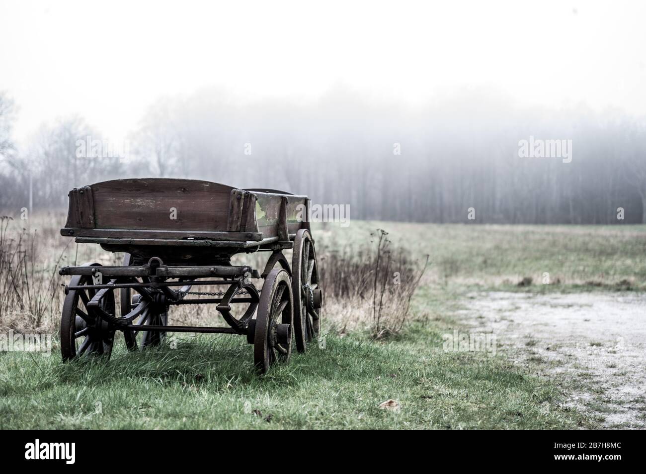l'horsecart abandonné dans le brouillard Banque D'Images