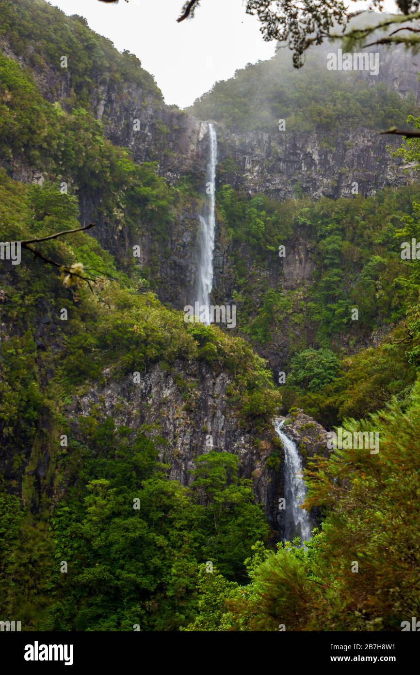 Chute d'eau de Risco sur l'île de madère, au portugal, au milieu de la forêt tropicale Banque D'Images