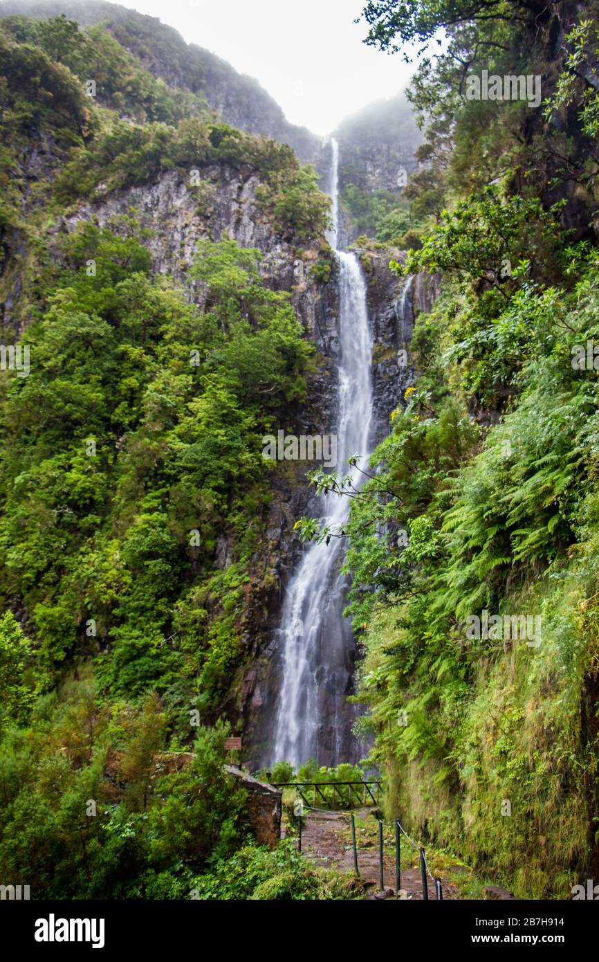 Chute d'eau de Risco sur l'île de madère, au portugal, au milieu de la forêt tropicale Banque D'Images