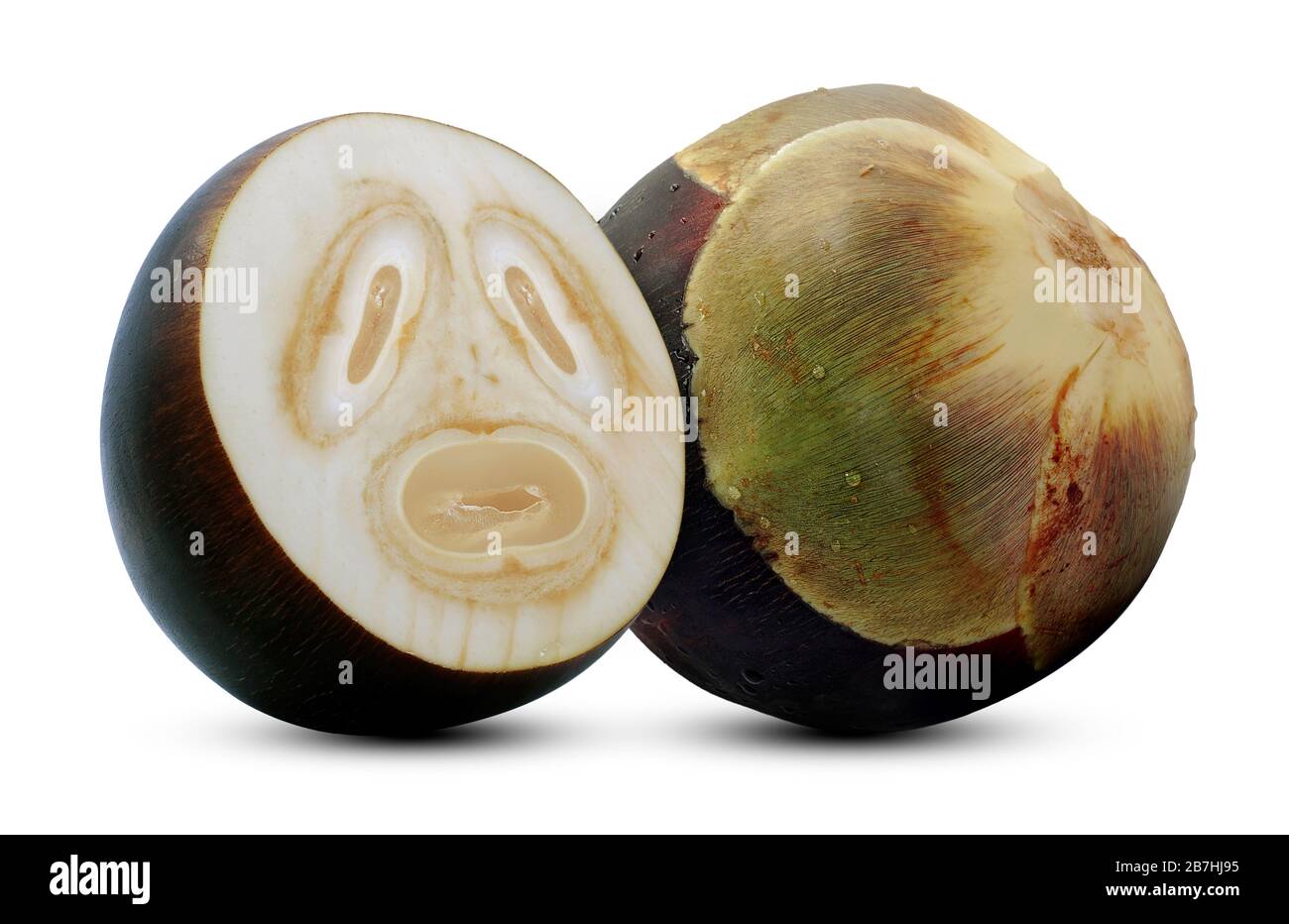 Palmyra Palm, Toddy Palm ou Sugar Palm Fruit isolé sur blanc Banque D'Images