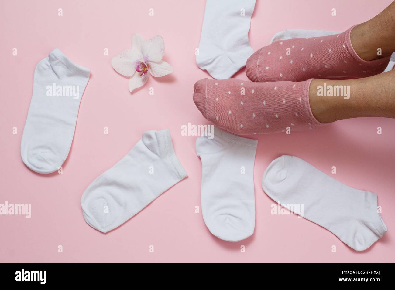 Chaussettes et racines blanches pour femmes sur fond rose, vue du dessus. Banque D'Images