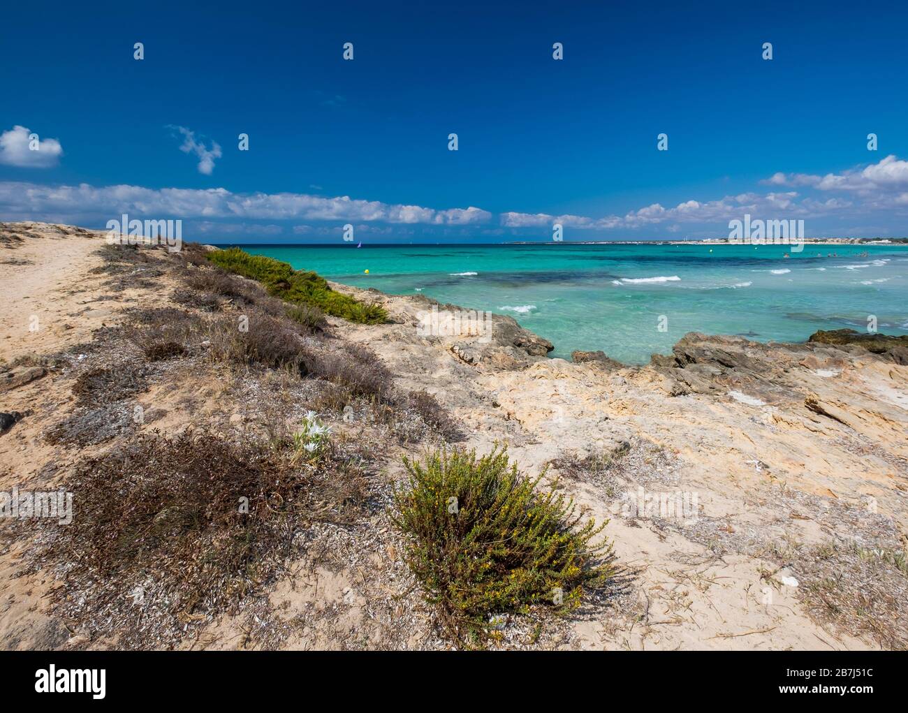 La belle couleur de mer de la plage de ses Salines, île de Majorque, îles Baléares, Espagne Banque D'Images