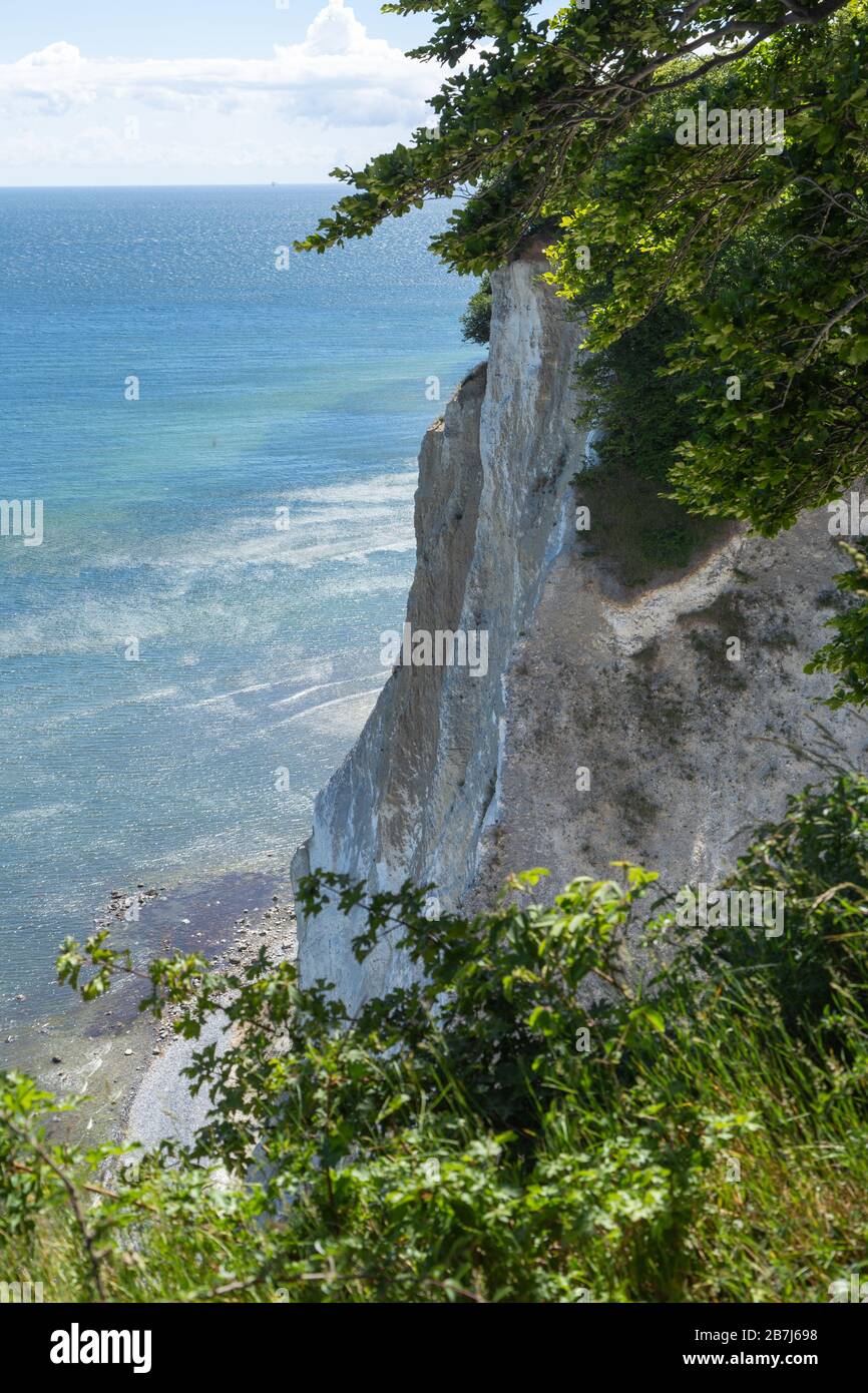 Falaises de craie sur l'île de Moen, Danemark, Europe Banque D'Images