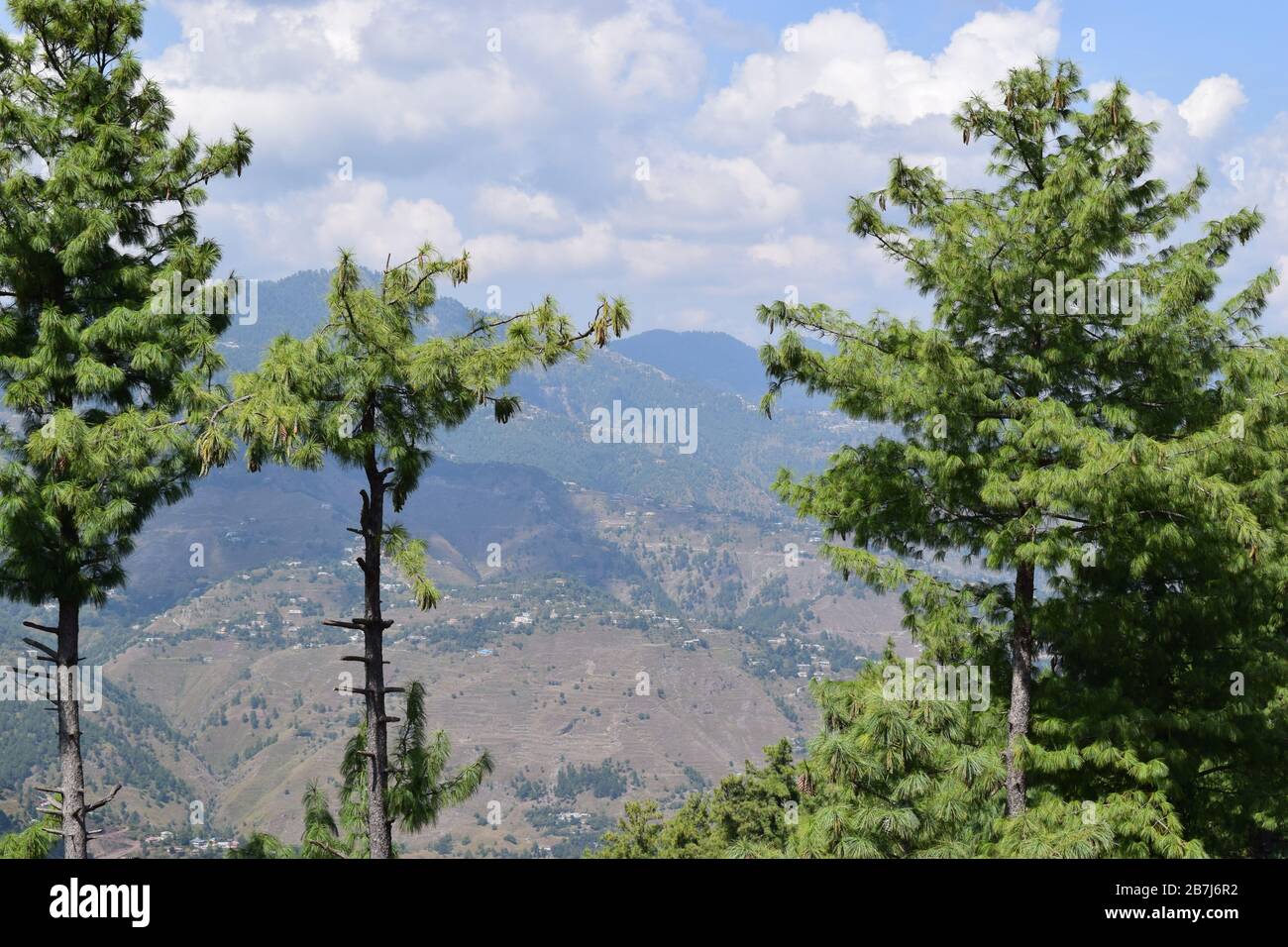 Belles montagnes vertes avec ciel bleu, nuages et arbres Banque D'Images