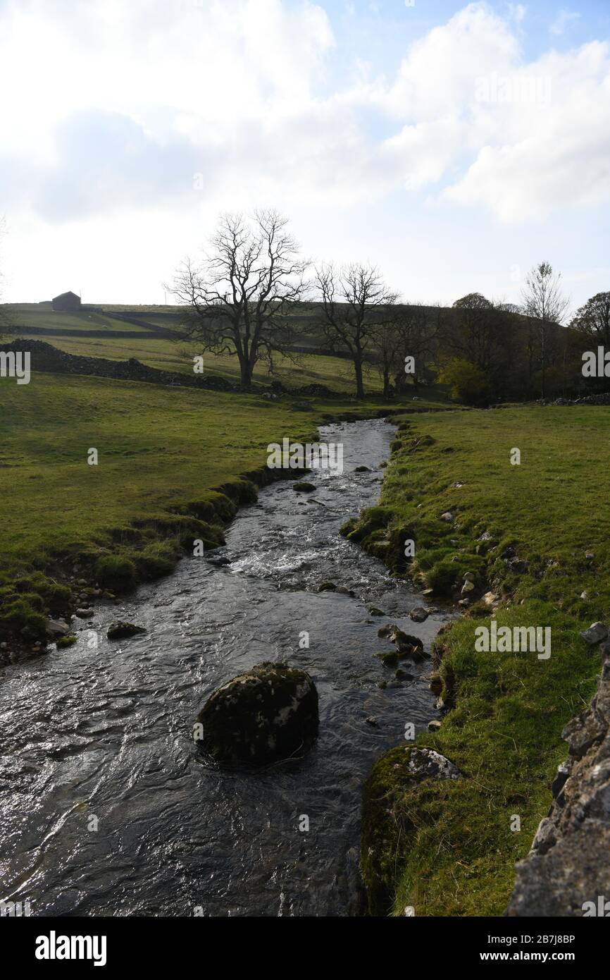 Ruisseau qui coule à la cascade de Janets Foss. Route de Malham à Gordale cicatrice dans le Yorkshire du Nord, Angleterre, Royaume-Uni Banque D'Images