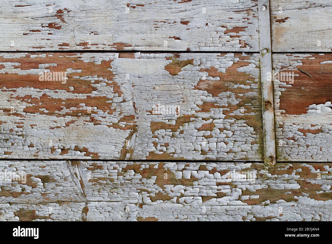 Texture de détail de la planche en bois : détail d'une planche en bois exfoliante recouverte à l'origine de couleur blanche Banque D'Images