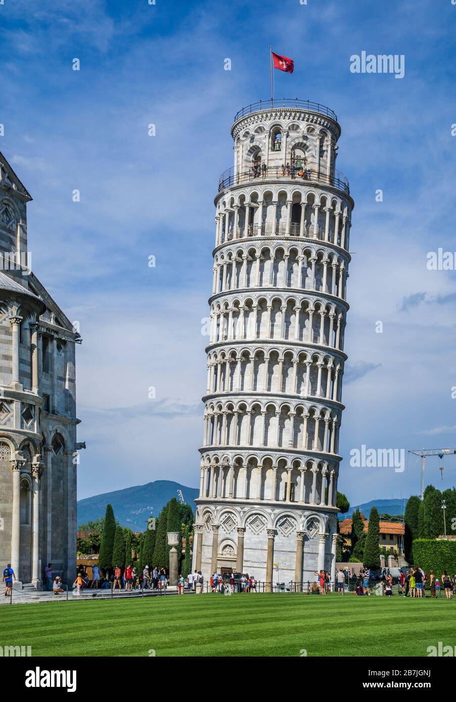 le campanile, le clocher autonome de la cathédrale de Pise sur la Piazza dei Miracoli, l'emblématique Tour penchée de Pise, Toscane, Italie Banque D'Images