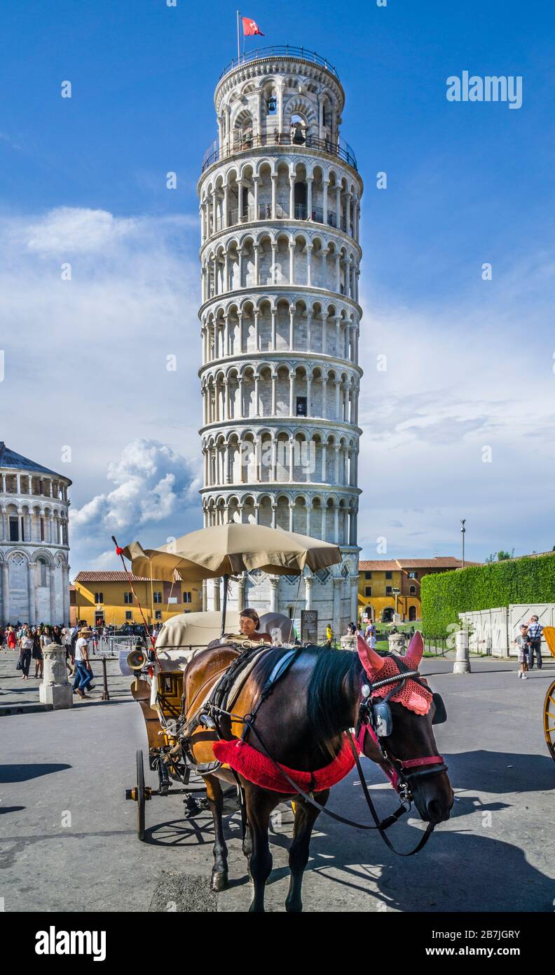 le campanile, le clocher autonome de la cathédrale de Pise sur la Piazza dei Miracoli, l'emblématique Tour penchée de Pise, Toscane, Italie Banque D'Images