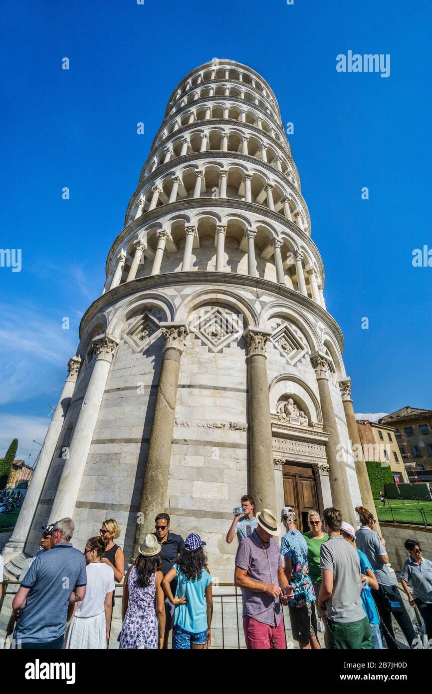 le campanile, le clocher autonome de la cathédrale de Pise sur la Piazza dei Miracoli, l'emblématique Tour penchée de Pise, Toscane, Italie Banque D'Images