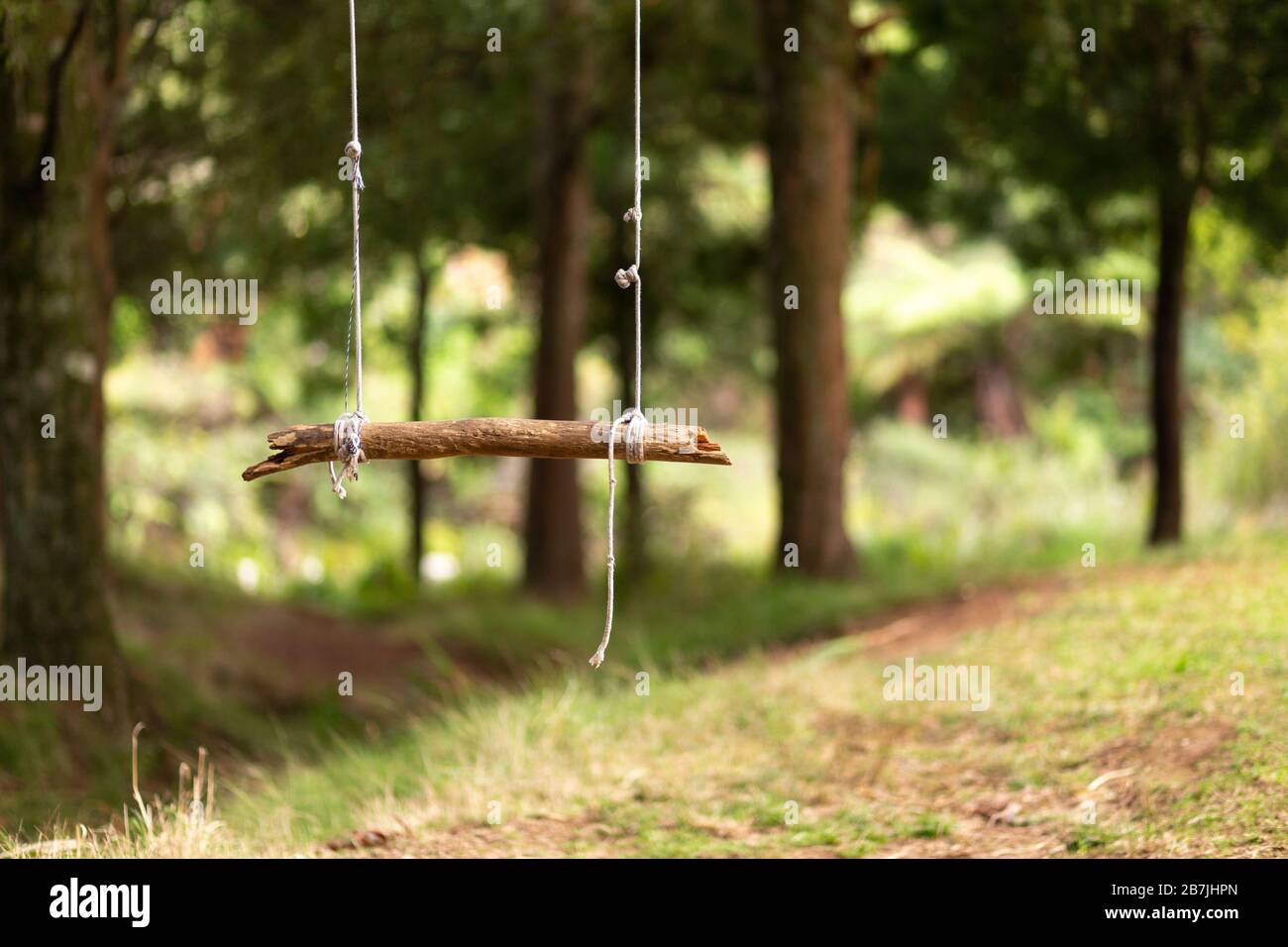 Faites un swing au camping Dickey Flat dans la gorge de Karangahake, en Nouvelle-Zélande Banque D'Images