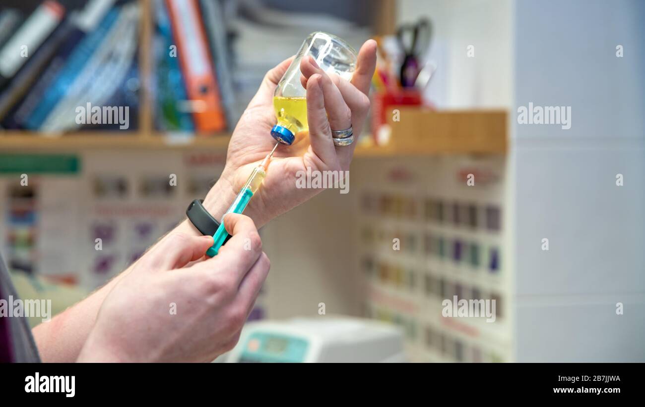 préparation à l'injection dans le cabinet du médecin. vaccination contre les maladies Banque D'Images