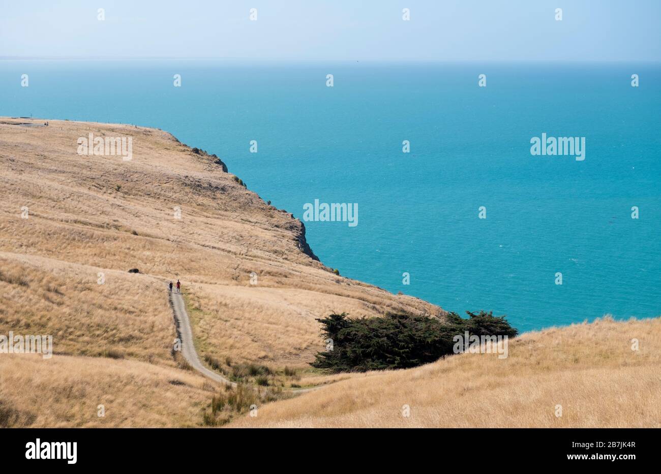 Parc Godley Beach près de Christchurch et Akaroa, région de Canterbury, île du Sud, Nouvelle-Zélande Banque D'Images