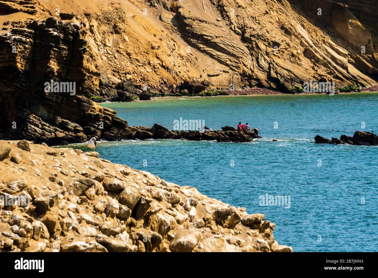 Réserve nationale de Paracas, ICA, Pérou. Banque D'Images