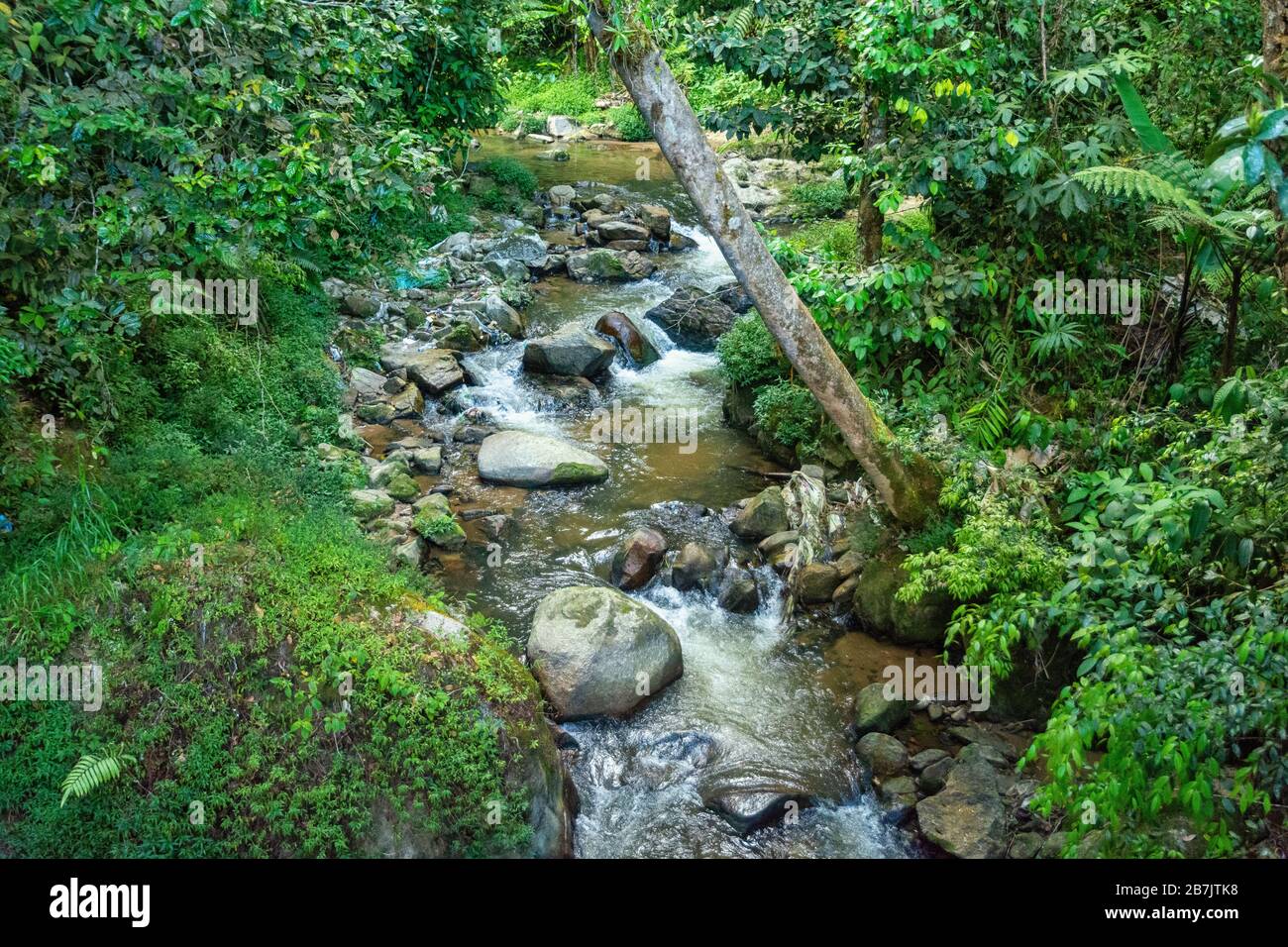 Les chutes de Parit à Tanah rata en Malaisie Banque D'Images