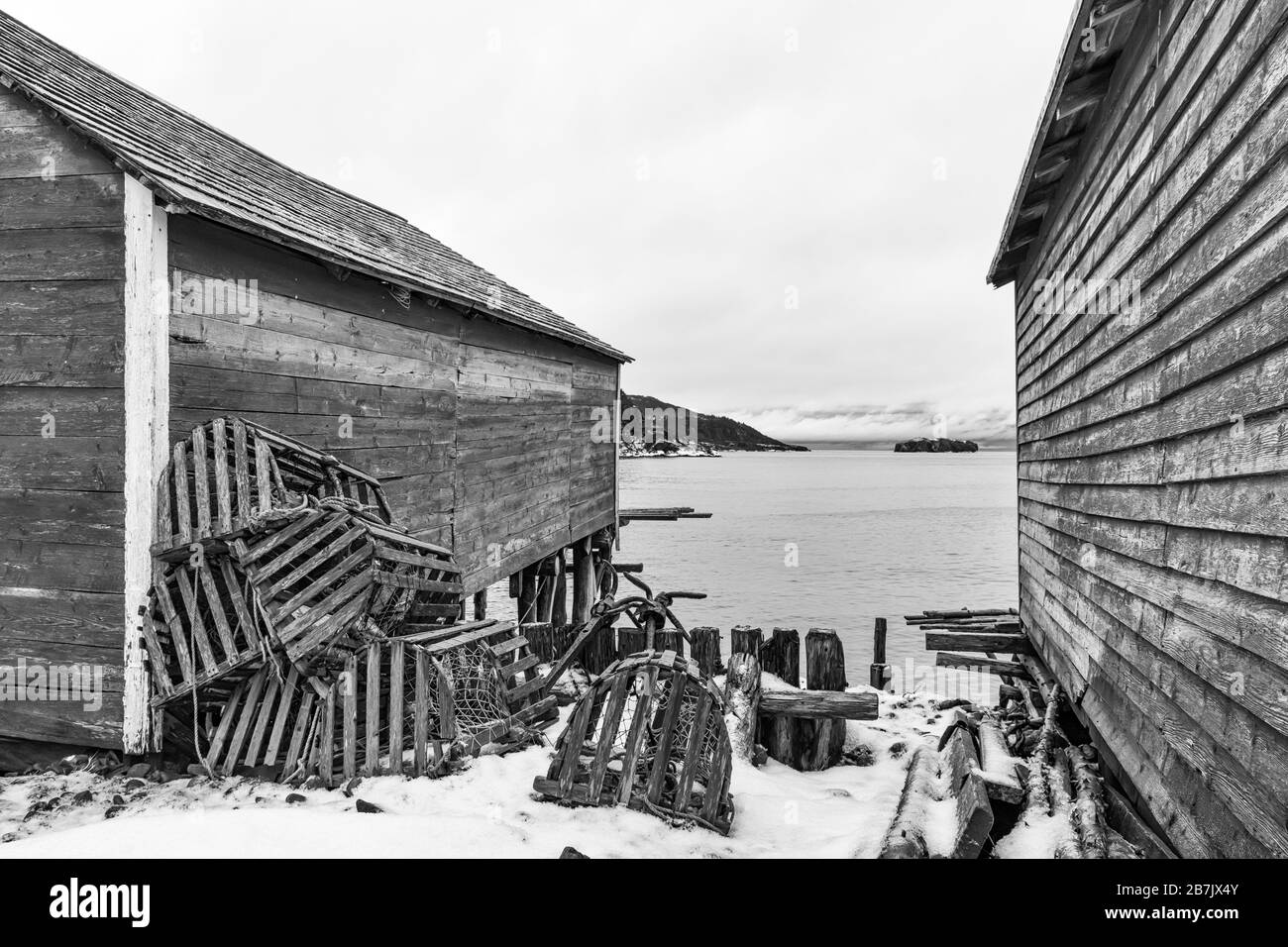 Étapes, utilisées pour la maison de matériel de pêche et pour traiter les appâts et les poissons, avec des homards, dans l'ancien village de pêche de Dunfield à Terre-Neuve, Canada [ Banque D'Images