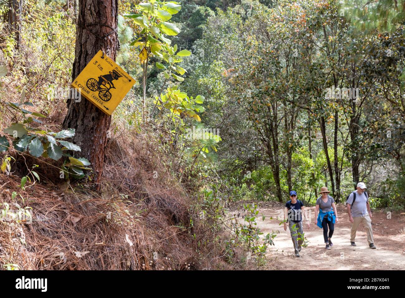 Latuvi, Oaxaca, Mexique - les touristes font de la randonnée sur un sentier entre la Neveria et Latuvi, deux villes des montagnes de la Sierra Norte. Les villages font partie du PUE Banque D'Images
