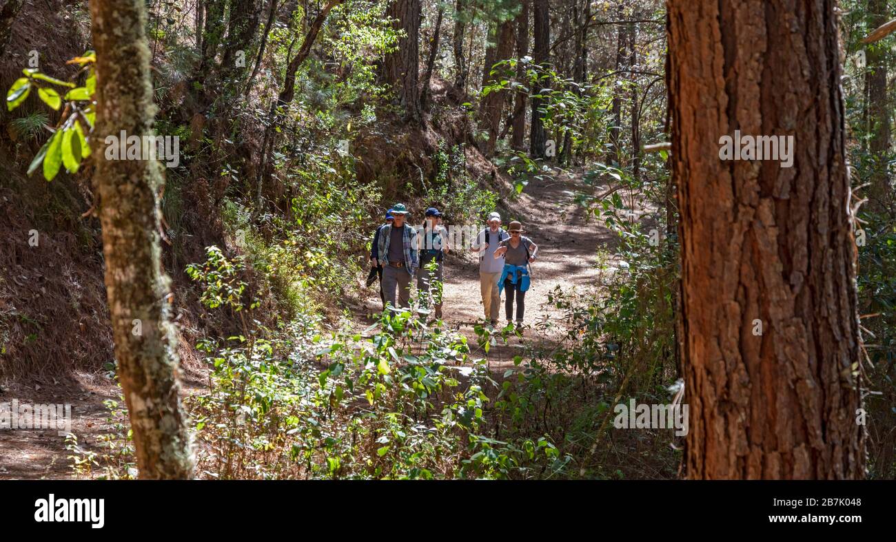 Latuvi, Oaxaca, Mexique - les touristes font de la randonnée sur un sentier entre la Neveria et Latuvi, deux villes des montagnes de la Sierra Norte. Les villages font partie du PUE Banque D'Images