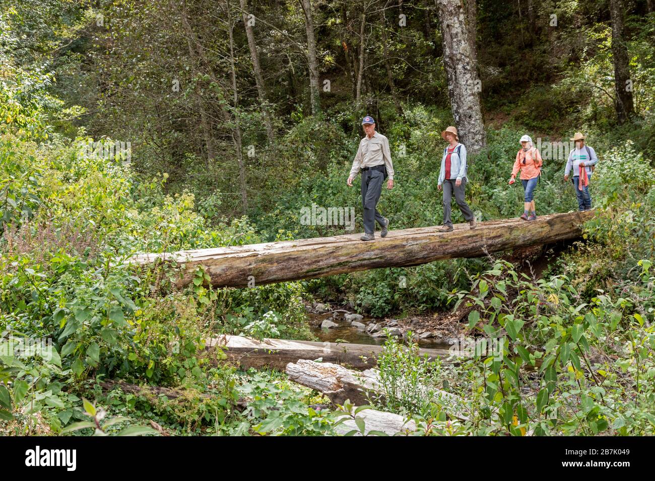 La Neveria, Oaxaca, Mexique - les touristes traversent un pont en rondins au-dessus du Rio Guacamayas lors d'une randonnée entre la Neveria et Latuvi, deux villes de la Sierra Banque D'Images