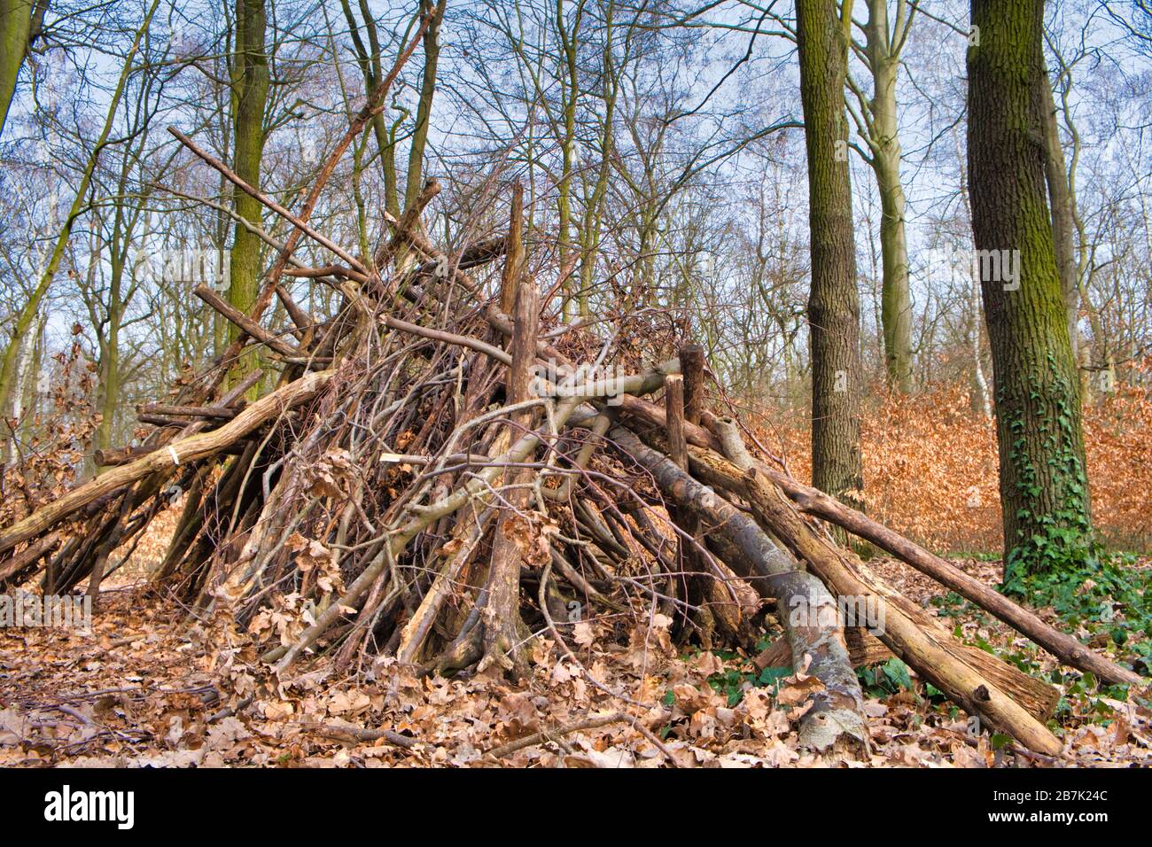 Cabane de branches et de brindilles. Banque D'Images