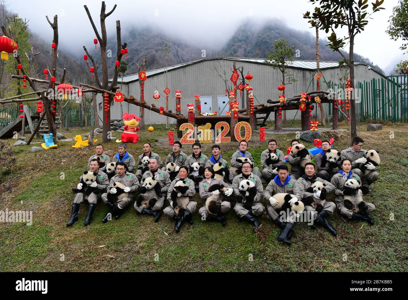 Les pandas prennent des photos de groupe avec les éleveurs de la maison de panda décorée à Wolong China Panda Garden Shenshuping base dans le tibétain et Qiang autonome Banque D'Images