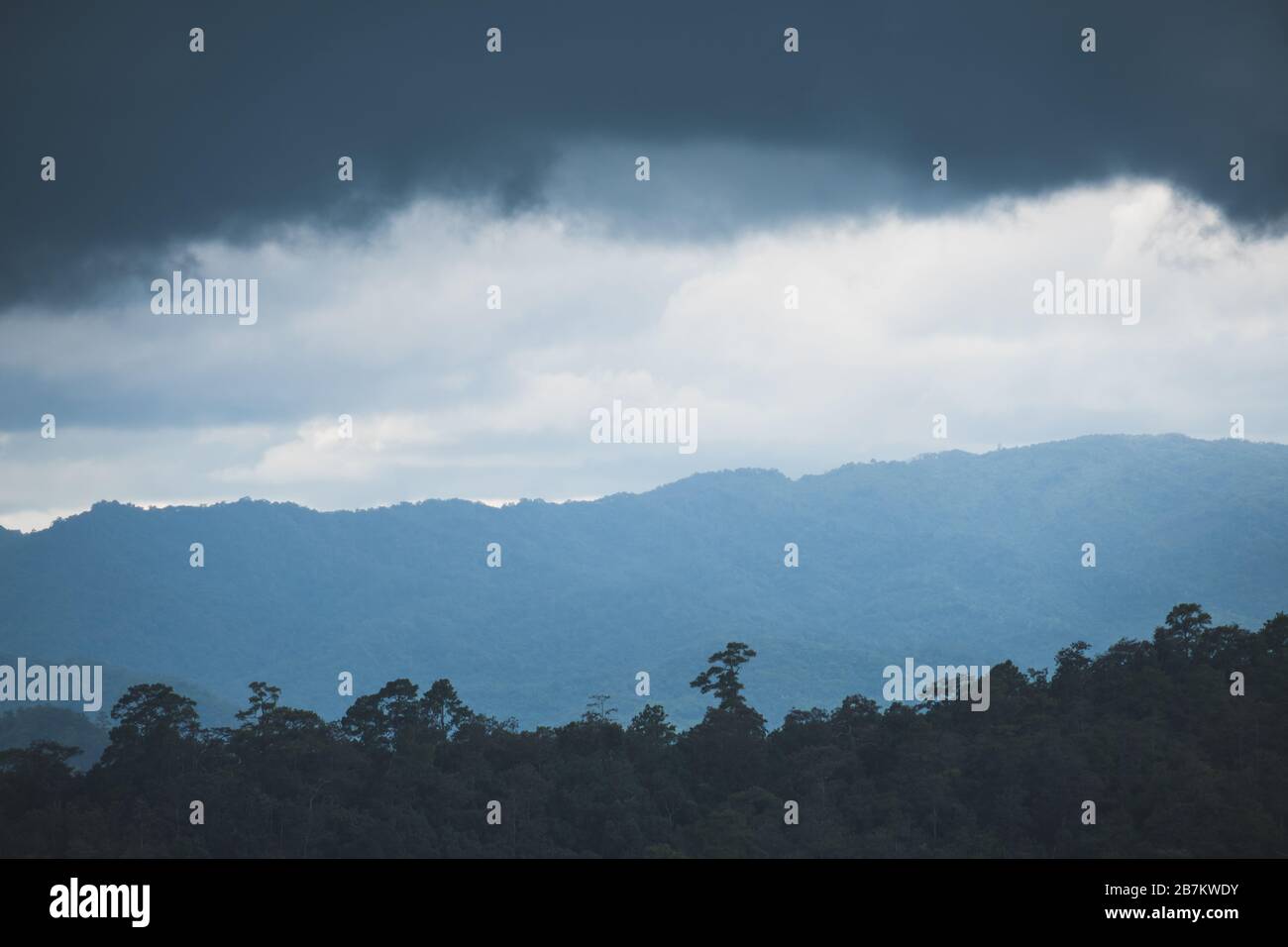 Paysage image des collines verdoyantes de la forêt tropicale le jour des pluies avec ciel nuageux fond Banque D'Images