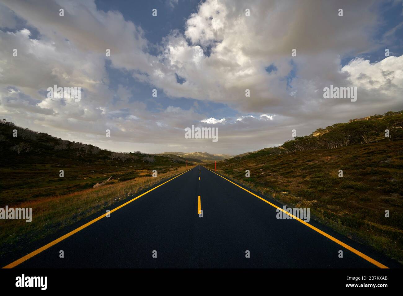 Route alpine avec lignes jaunes Banque D'Images
