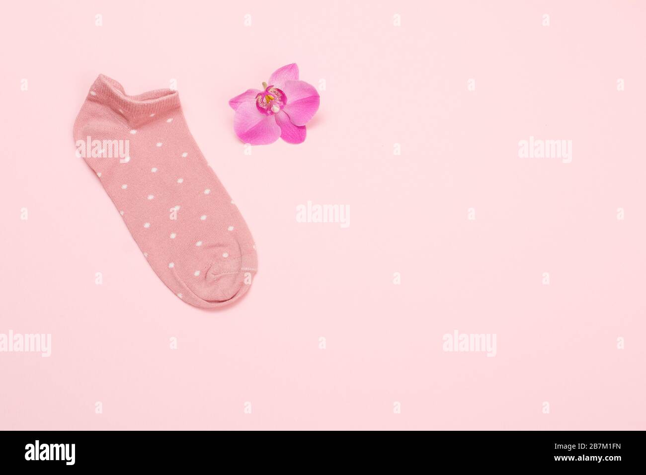 Une chaussette et une fleur d'orchidée sur fond rose, vue du dessus avec espace de copie. Banque D'Images