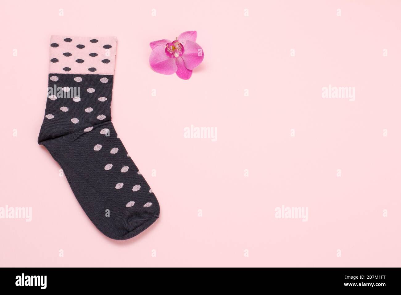 Une chaussette et une fleur d'orchidée sur fond rose, vue du dessus avec espace de copie. Banque D'Images