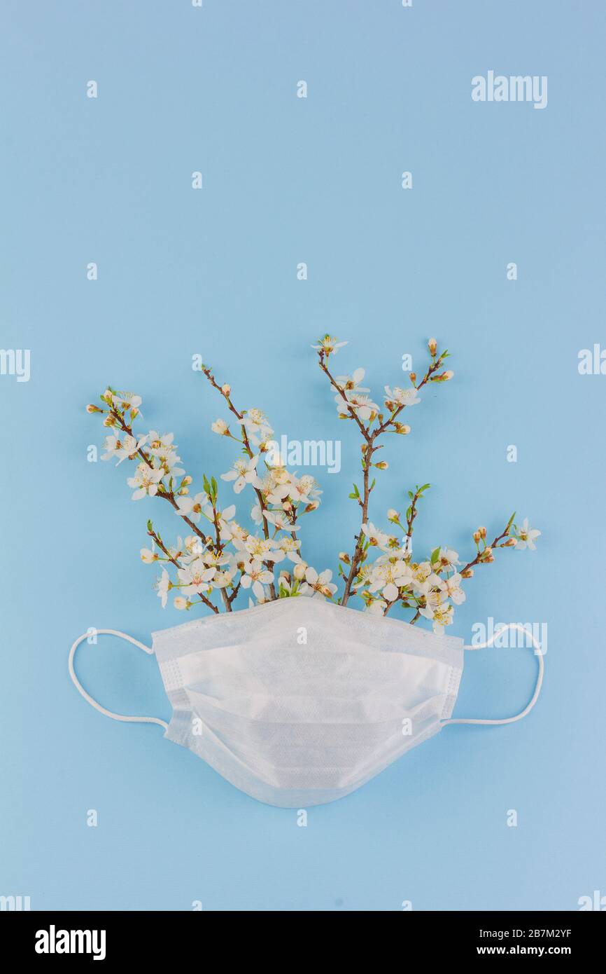 Un bouquet de branches fleuries dans un masque médical sur fond bleu avec un espace de copie, le concept de coronavirus COVID-19 au printemps 2020 Banque D'Images