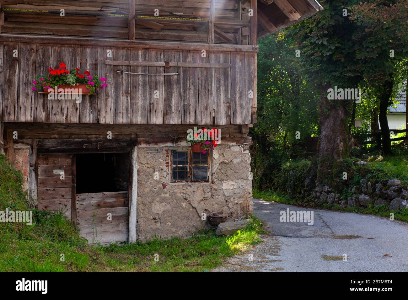 Vue du bois structural typique appelé Hayracks utilisé pour le sécheur de fourrage , Stud. Slovénie Banque D'Images