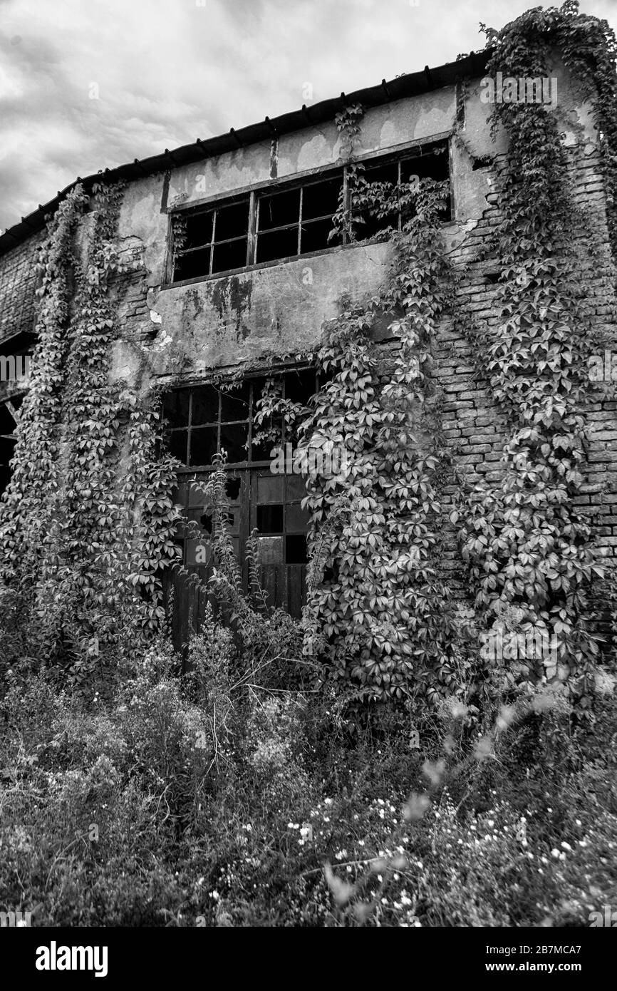 Bâtiments abandonnés dans le Vieux-Port de Trieste, Friuli-Venezia-Giulia, Italie : version noire et blanche Banque D'Images