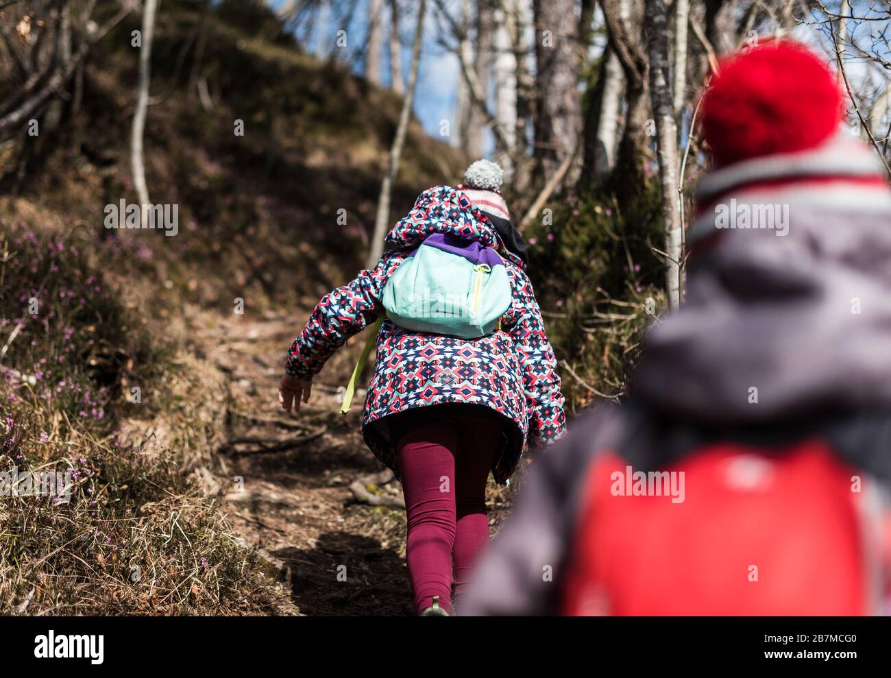 Les enfants randonnée dans les montagnes ou dans les bois lors d'un voyage en famille. Famille active, parents et enfants alpinisme dans la nature. Les enfants marchent dans les bois Banque D'Images