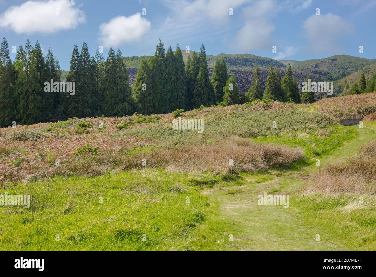 Collines sur les champs. L'île de Terceira aux Açores avec ciel bleu et nuages. Banque D'Images