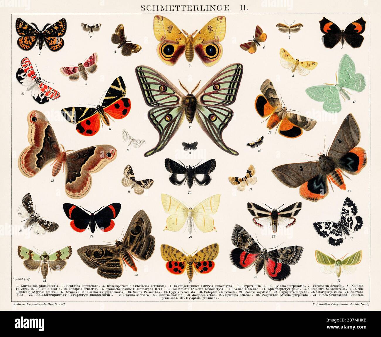 Papillon Ancien Et Moth Lithographe Original Antique Insecte Imprimer Par Un Artiste Inconnu 14 Un Collage De Beauti Jpg 2b7mhkb Photo Stock Alamy