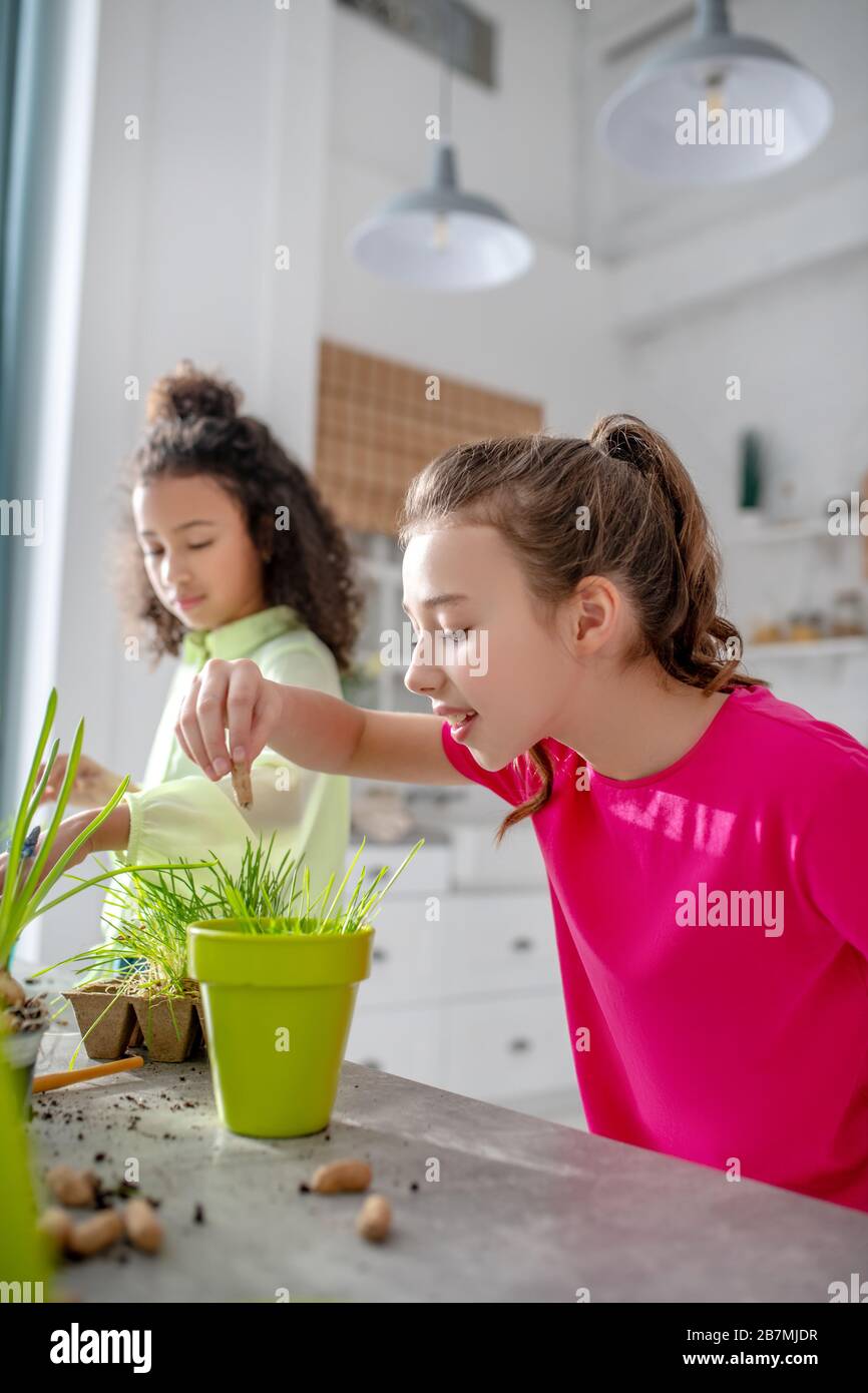 Une jeune fille plantant des graines dans un pot à la maison. Banque D'Images