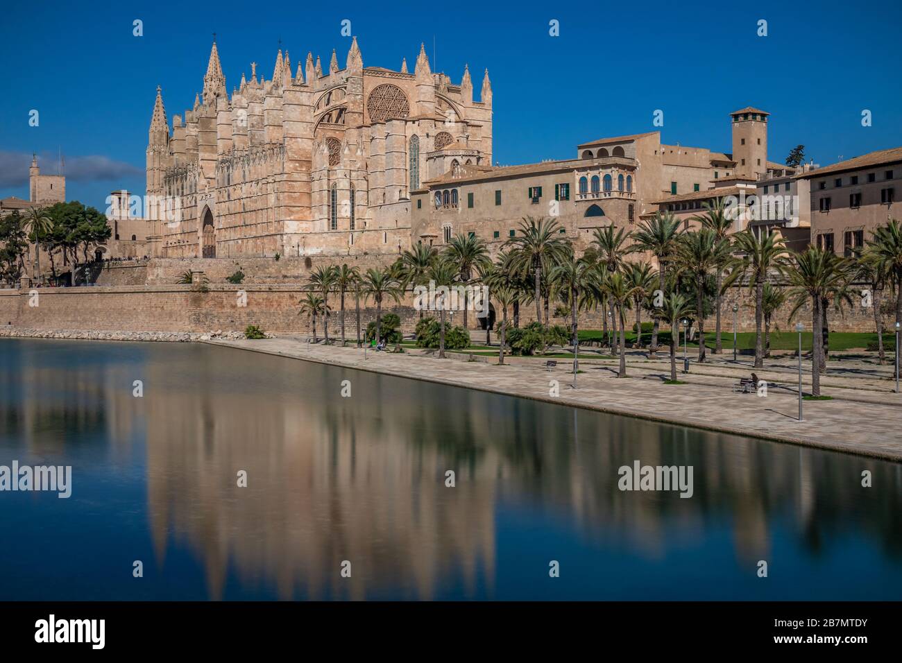 Cathédrale de Palma la Seu et Musée diocésain, Palma de Majorque, Majorque, Iles Baléares, Espagne, Europe Banque D'Images
