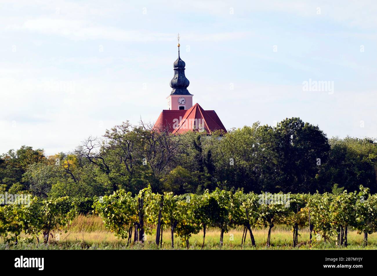 Autriche, vignoble et église de Reisenberg en Basse-Autriche Banque D'Images