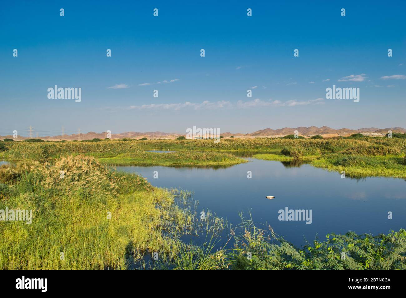 La beauté de la nature du désert de Jeddah, l'Arabie Saoudite nommée Green Valley. Banque D'Images