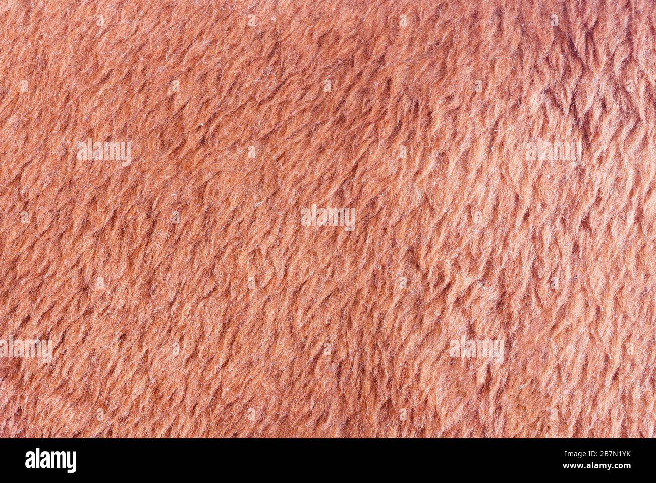 La texture du tissu de laine est brun clair. Banque D'Images