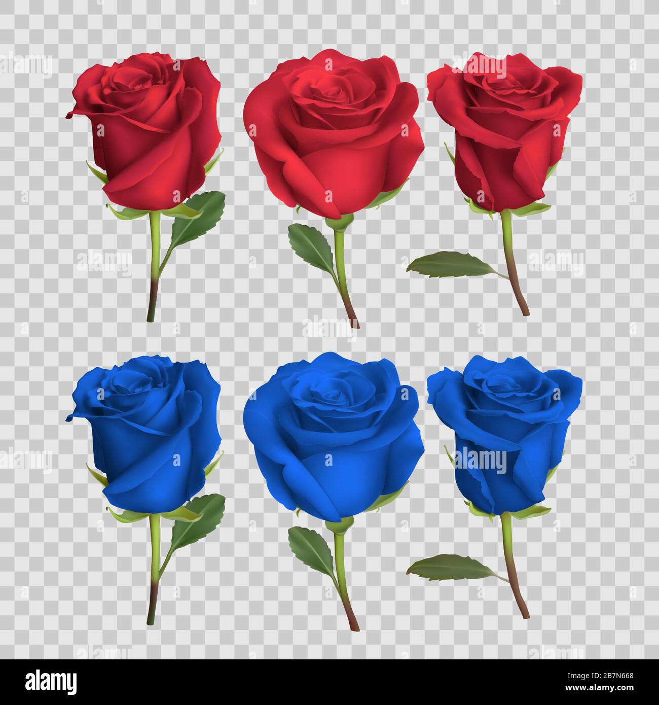 motif rose réaliste isolé sur fond, illustration vectorielle Illustration de Vecteur