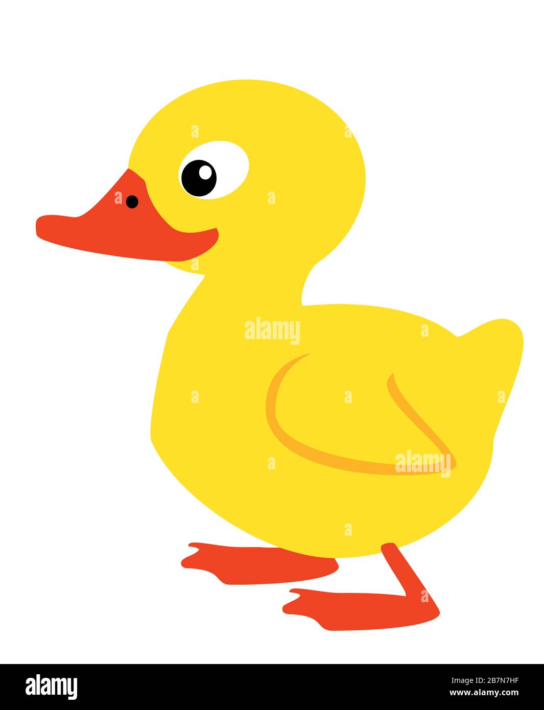 Canard à Bec Rouge En 7 Lettres Illustration du bec Banque de photographies et d'images à haute résolution  - Alamy