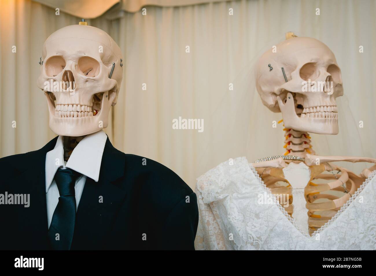 Squelettes dans la robe de mariage de mariée juste marié, concept fête d'Halloween. Banque D'Images