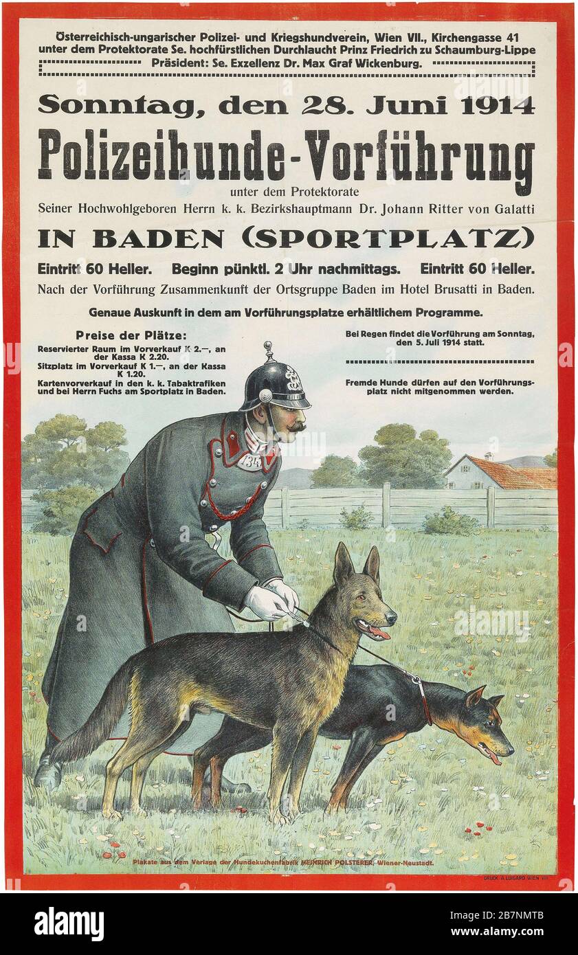 Démonstration de chiens de police à Baden, 1914. Collection privée. Banque D'Images