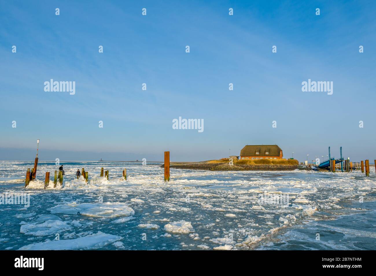 Ile de Hallig Langeness, Mer du Nord, Patrimoine mondial de l'UNESCO, Frise du Nord, Schleswig-Holstein, Allemagne, Banque D'Images