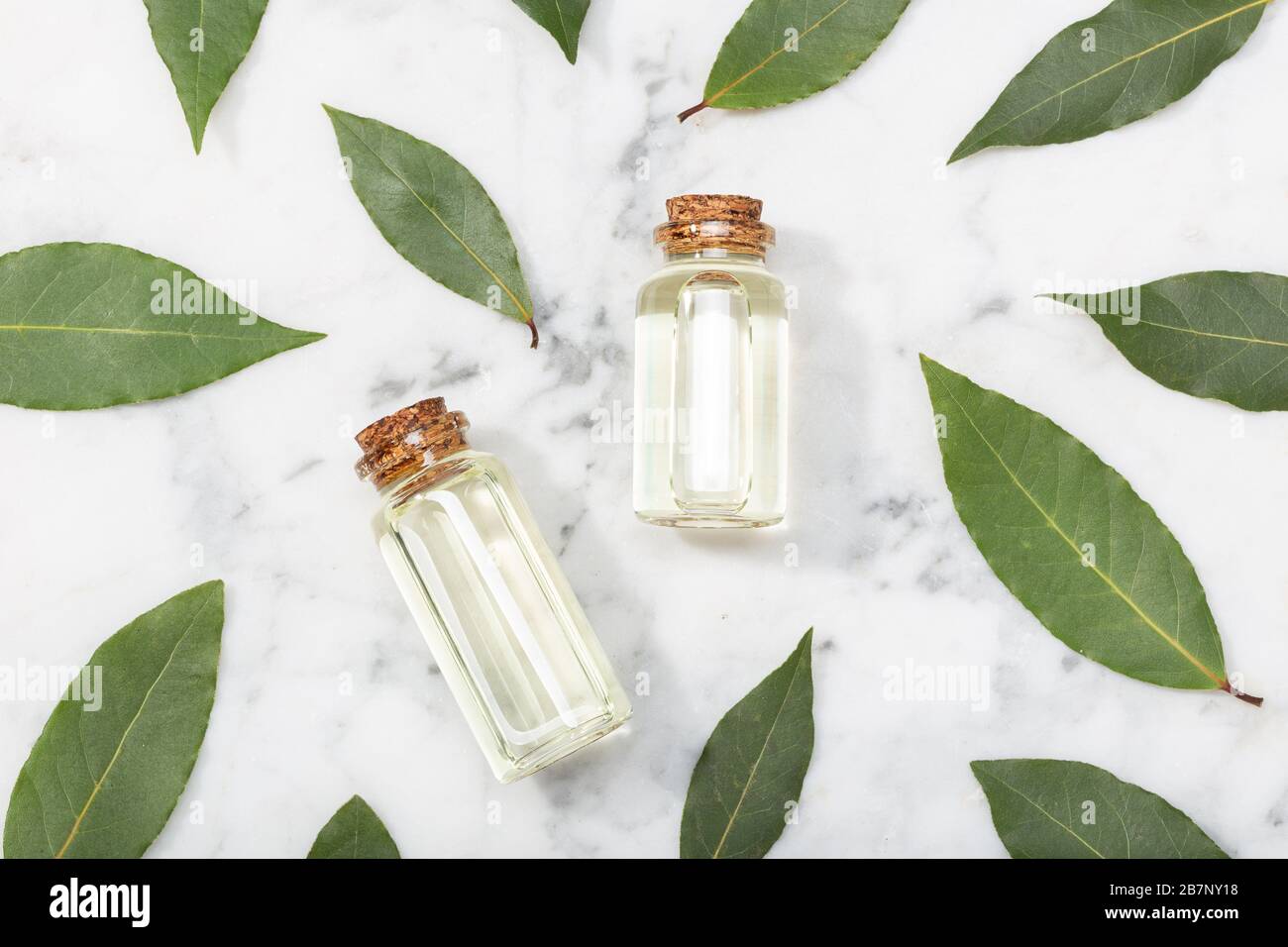 Huile essentielle laurier de baie sur table en marbre. Faire l'appoint d'huile sur la bouteille en verre avec compte-gouttes. Laurus nobilis Banque D'Images