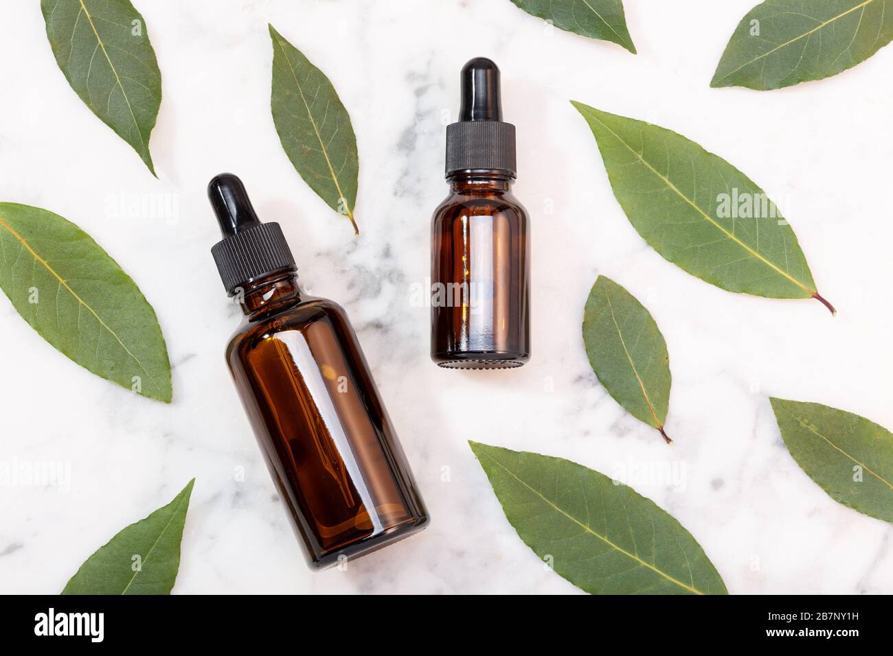 Huile essentielle laurier de baie sur table en marbre. Faire l'appoint d'huile sur la bouteille en verre avec compte-gouttes. Laurus nobilis Banque D'Images