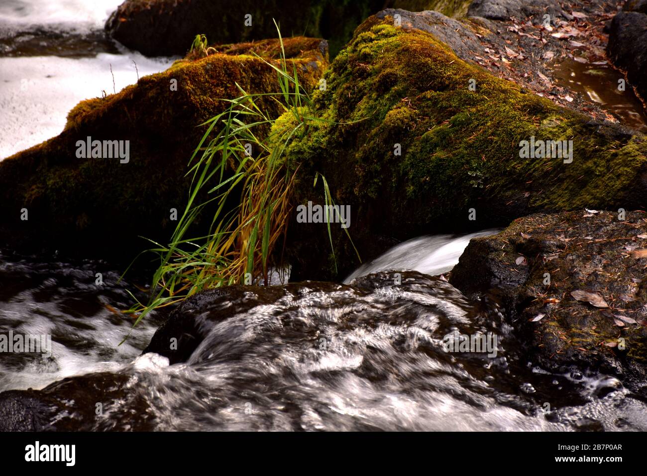 Bridge Creek au milieu de Centennial Park est un endroit très agréable et relaxant dans notre petite communauté. Banque D'Images
