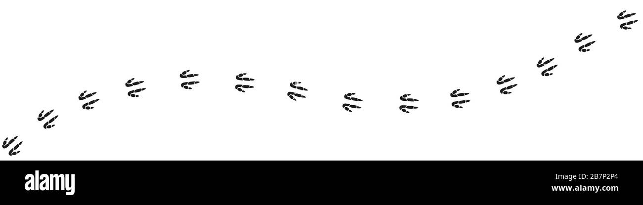 Sentier de randonnée de kangourou sur fond blanc. Illustration vectorielle Illustration de Vecteur
