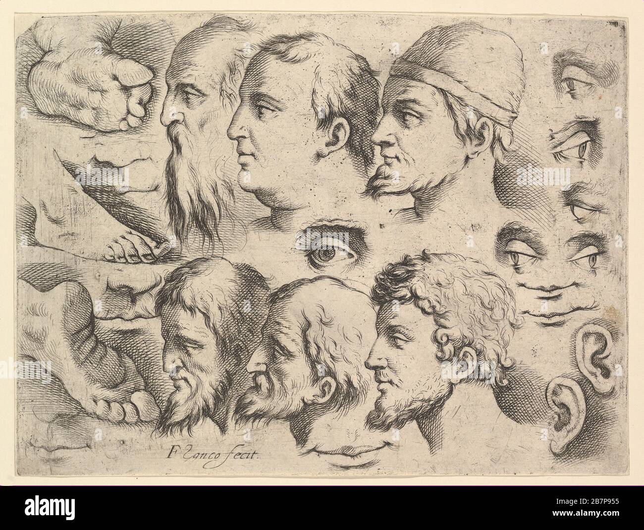 Six têtes, trois pieds, deux oreilles, six yeux, quatre lèvres. Attribué à Battista Franco Banque D'Images