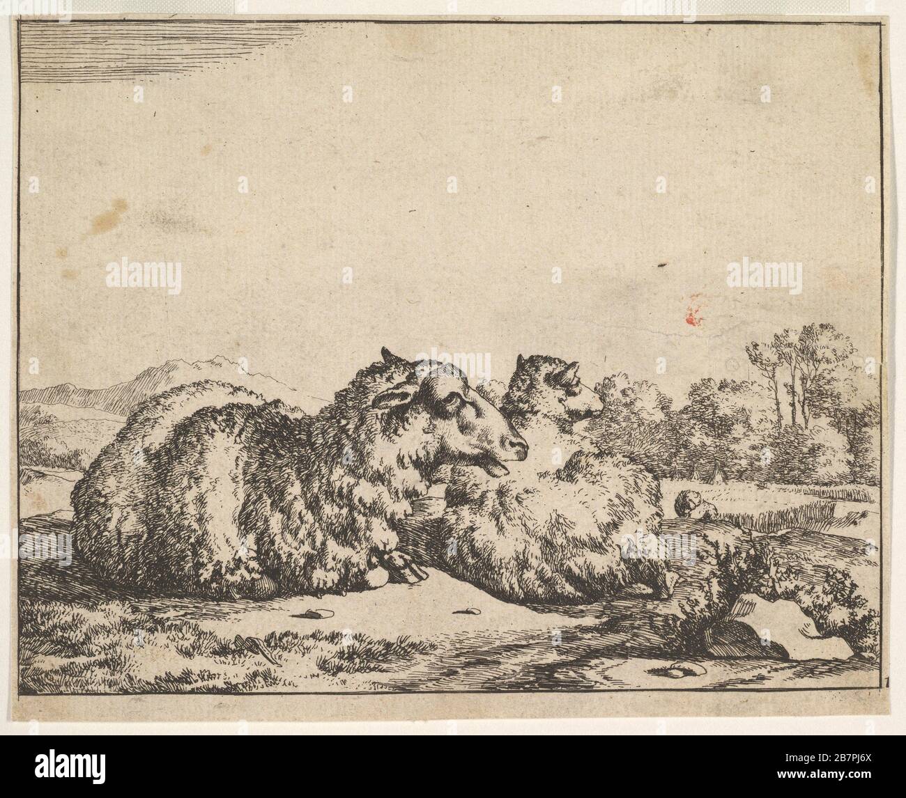 Mouton, à partir d'un jeu de 16 plaques, 1664. Banque D'Images